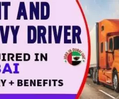 Light and Heavy Driver Required in Dubai