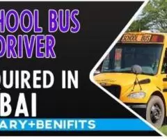 School Bus Driver Required in Dubai