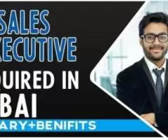 Sales Executive Required in Dubai