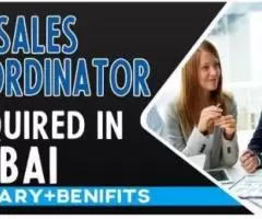 Sales Coordinator Required in Dubai