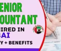 Senior Accountant Required in Dubai