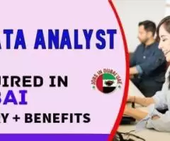 HR Data Analyst Required in Dubai