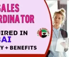 Sales Coordinator Required in Dubai