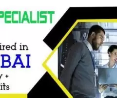 IT Specialist Required in Dubai