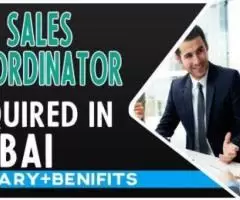 Sales Coordinator Required in Dubai