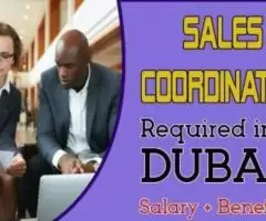 Sales Coordinator Required in Dubai