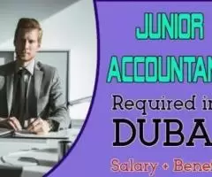 Junior Accountant Required in Dubai