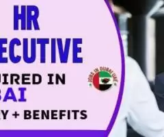 HR Executive Required in Dubai