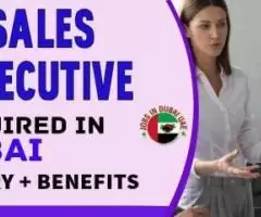 Sales Executive Required in Dubai