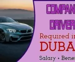 Company Driver Required in Dubai