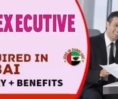 HR EXECUTIVE Required in Dubai