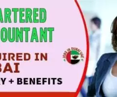 Chartered Accountant Required in Dubai