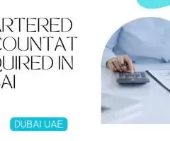 Chartered Accountant Required in Dubai