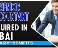 Senior Accountant Required in Dubai