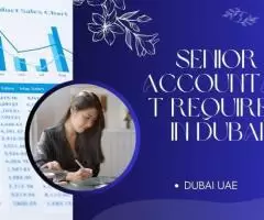 Senior Accountant Required in Dubai