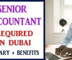 Senior Accountant Required in Dubai