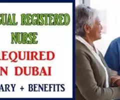 Bilingual Registered Nurse Required in Dubai