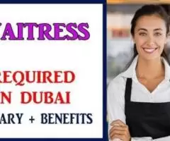 Waitress Required in Dubai