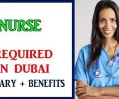 Nurse Required in Dubai