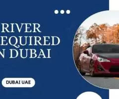 Driver Required in Dubai