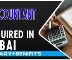 Accountant Required in Dubai