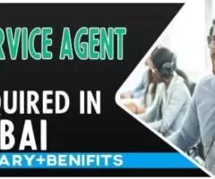 Service Agent Required in Dubai