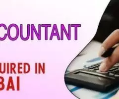 Accountant Required in Dubai UAE