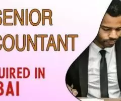 Senior Accountant Required in Dubai