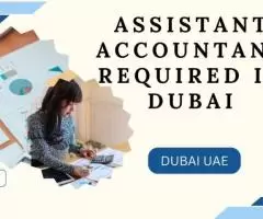 Assistant Accountant Required in Dubai