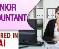 Senior Accountant Required in Dubai