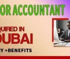 Senior Accountant Required in Dubai