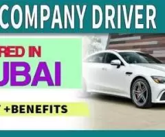 Urgent Company Driver Required in Dubai UAE