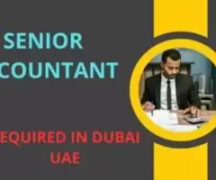 Senior Accountant Required in Dubai