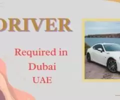 DRIVER (Light and Heavy ) Required in Dubai