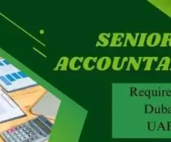 Senior Accountant Required in Dubai