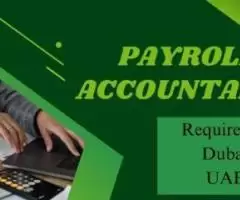 Payroll Accountant Required in Dubai