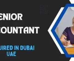 Senior Accountant Required in Dubai