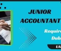 Junior Accountant Required in Dubai