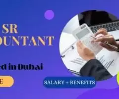 Sr Accountant Required in Dubai