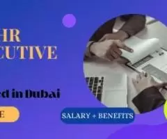 Human Resources Executive Required in Dubai