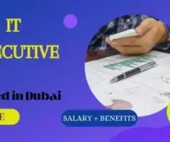 IT Executive Required in Dubai