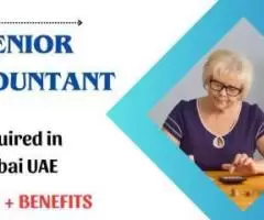 Senior Accountant Required in Dubai