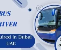 Bus Driver Required in Dubai