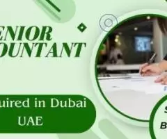 Senior Accountant Required in Dubai