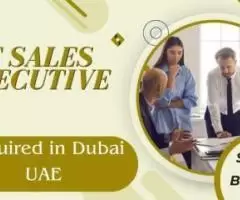 IT Sales Executive Required in Dubai