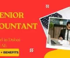 Senior Accountant Required in Dubai