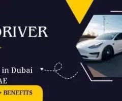 DRIVER Required in Dubai