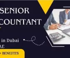 Senior Accountant Required in Dubai