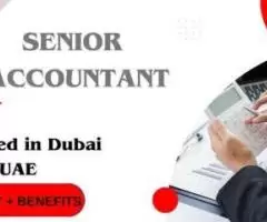 Senior Accountant Required in Dubai