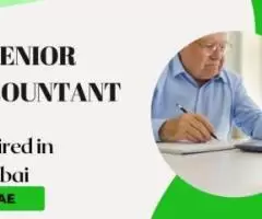 SENIOR ACCOUNTANT Required in Dubai